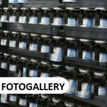 Fotogallery